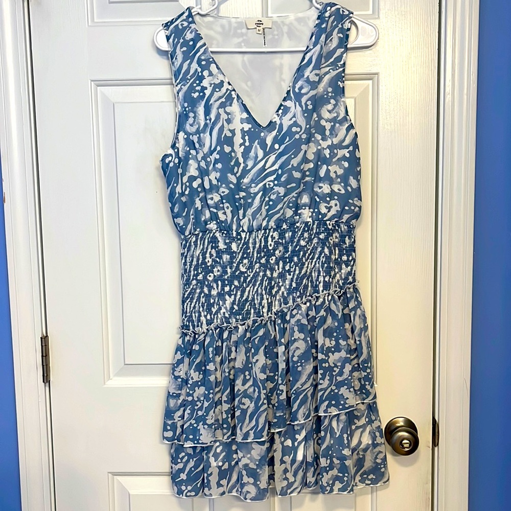 Blue & White Dress